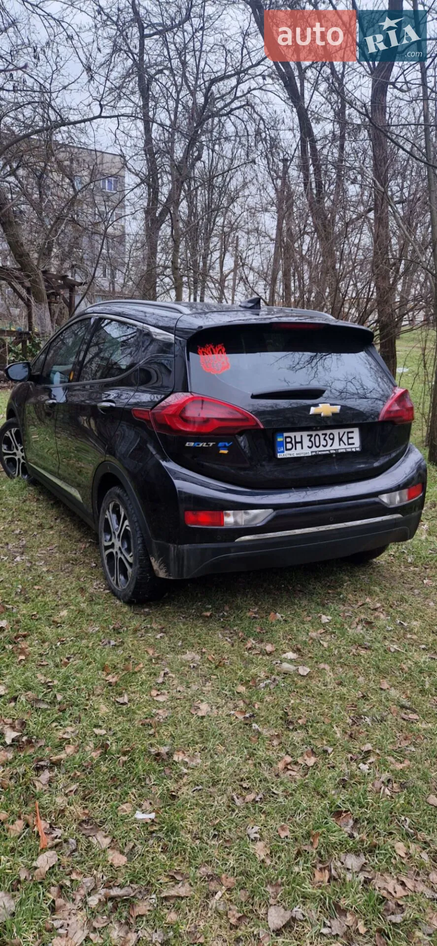 2016 Chevrolet Bolt EUV - мініатюра 9