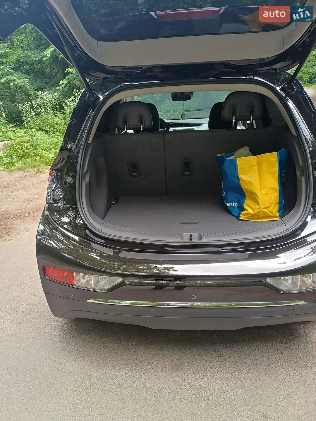 2018 Chevrolet Bolt EUV - мініатюра 11