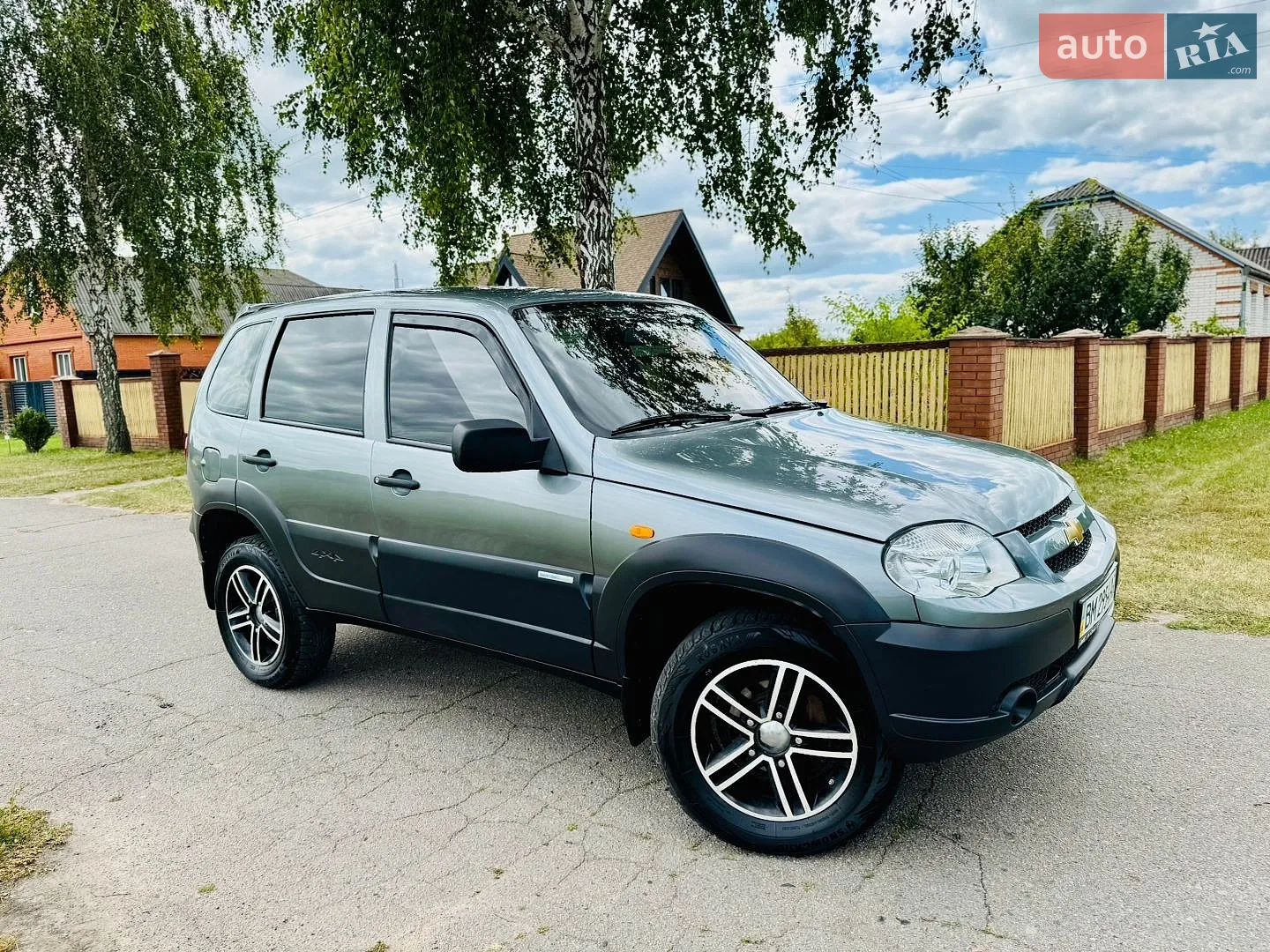 2010 Chevrolet Niva - фото 1