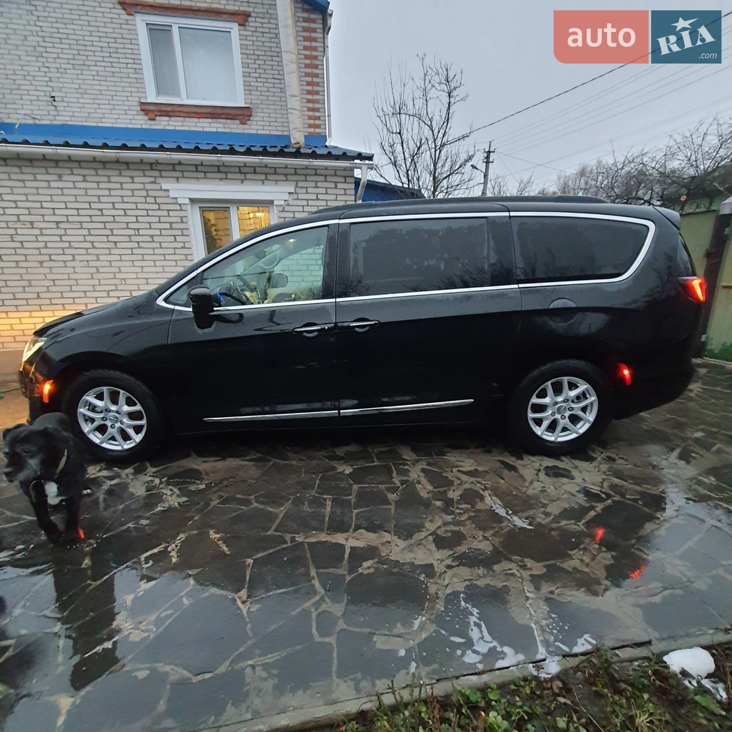 2016 Chrysler Pacifica - мініатюра 10