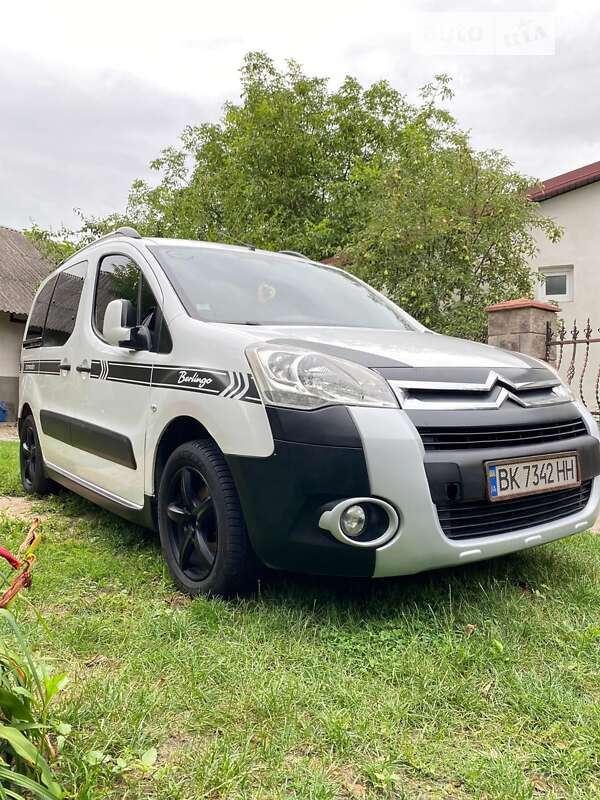 Citroen Berlingo (B9) накладки на пороги