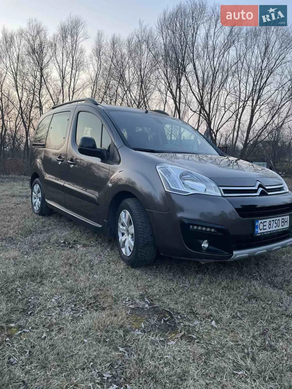 2017 Citroen Berlingo - мініатюра 18