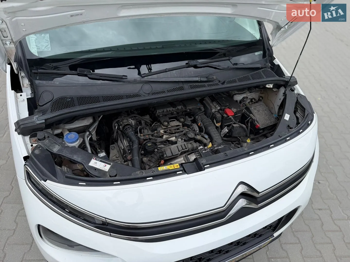 2019 Citroen Berlingo - мініатюра 62