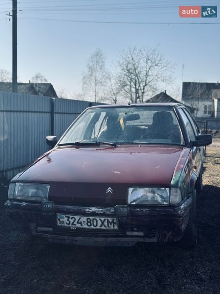 Хэтчбек Citroen BX 1987 в Теофиполе