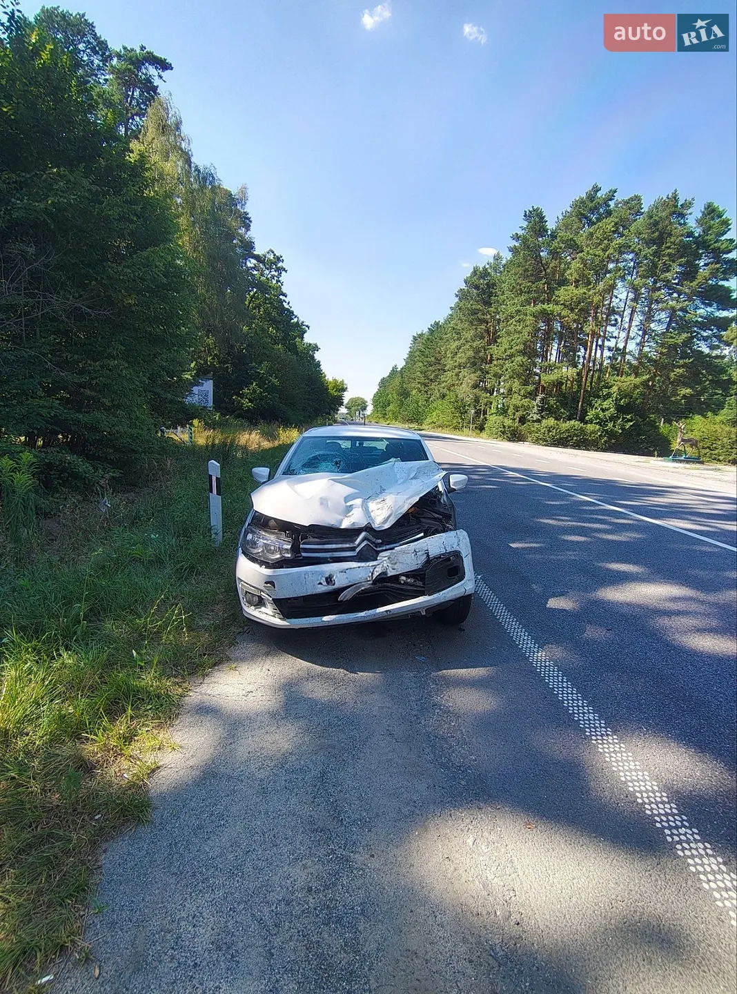 Citroen C-Elysee 2020
