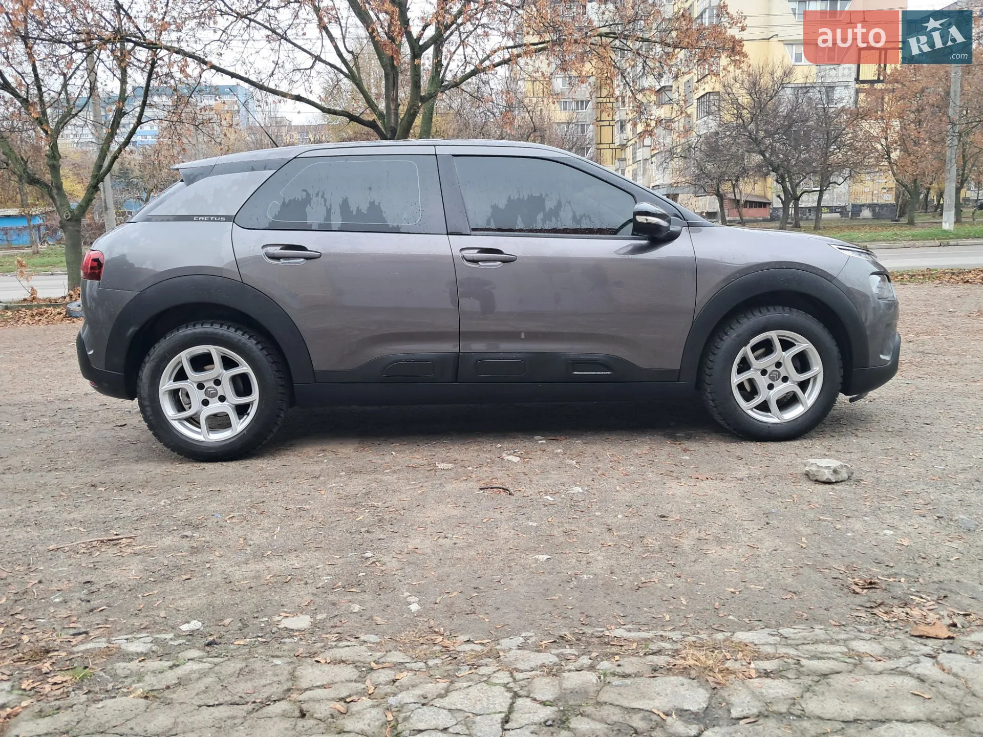 2019 Citroen C4 Cactus - мініатюра 11