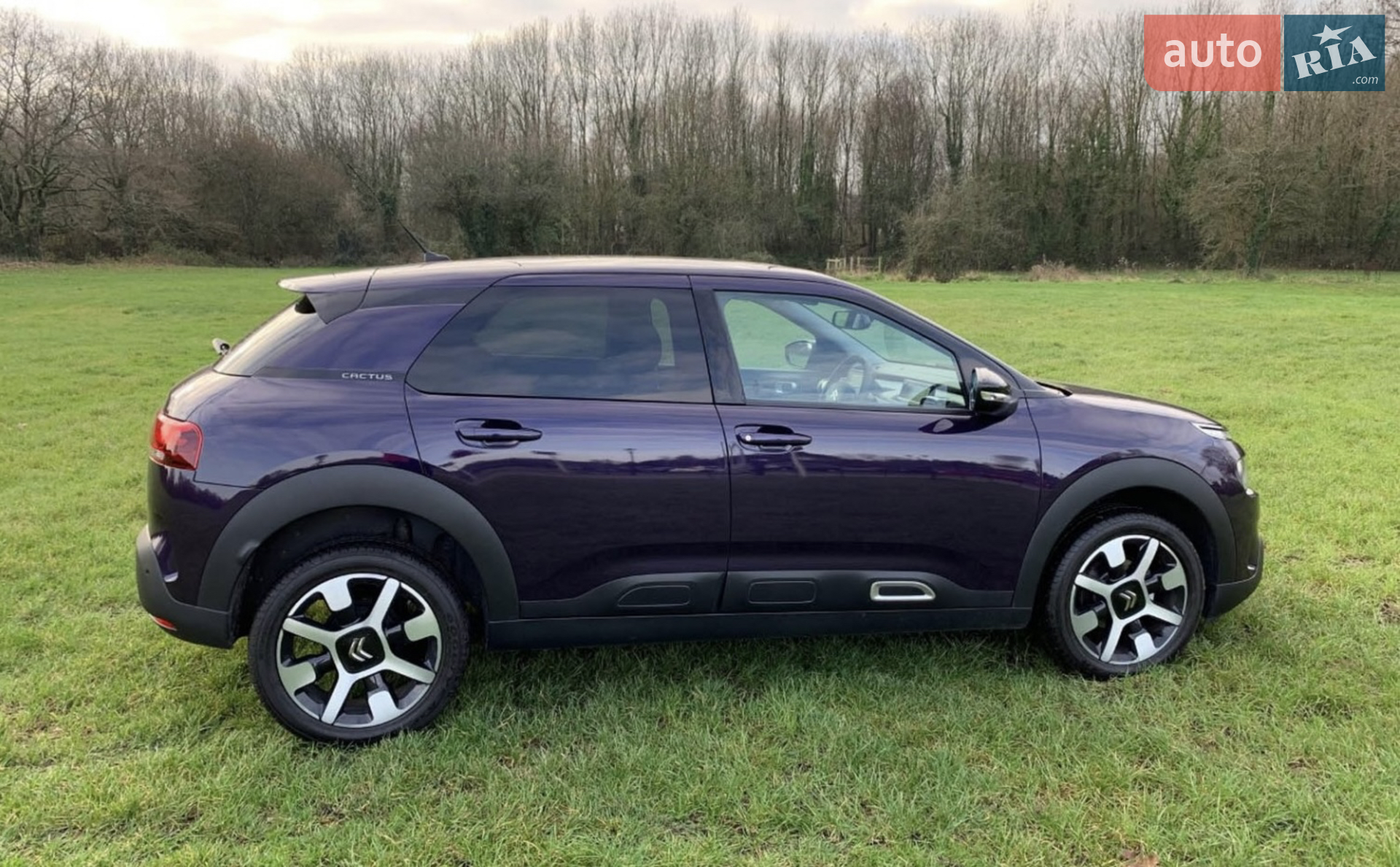 2019 Citroen C4 Cactus - мініатюра 14