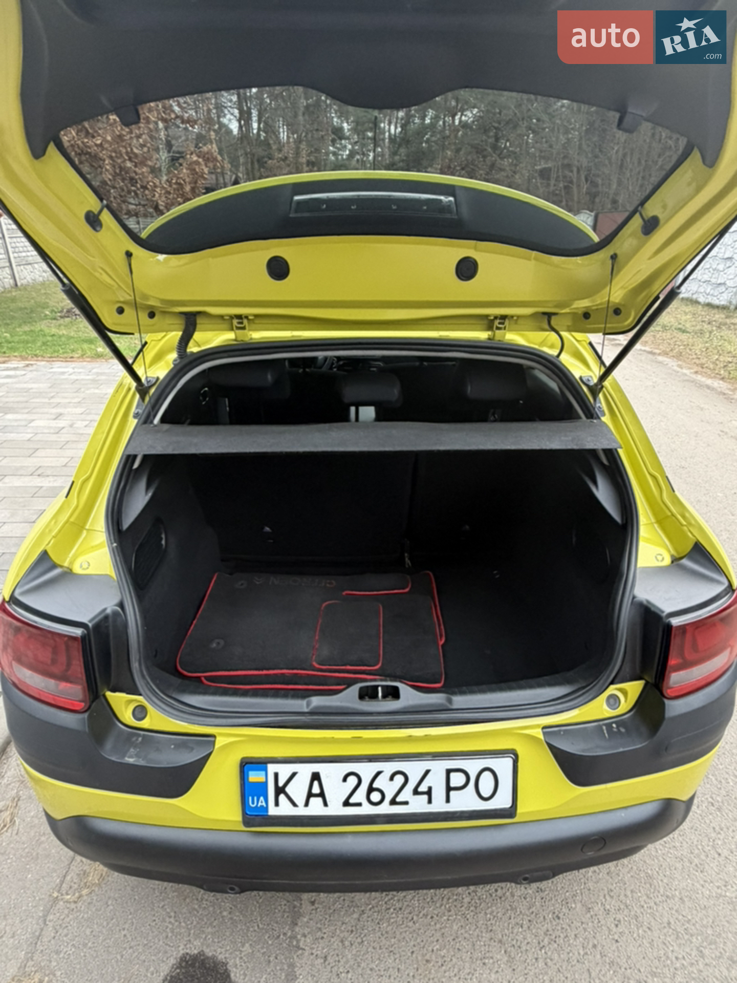 2016 Citroen C4 Cactus - мініатюра 13