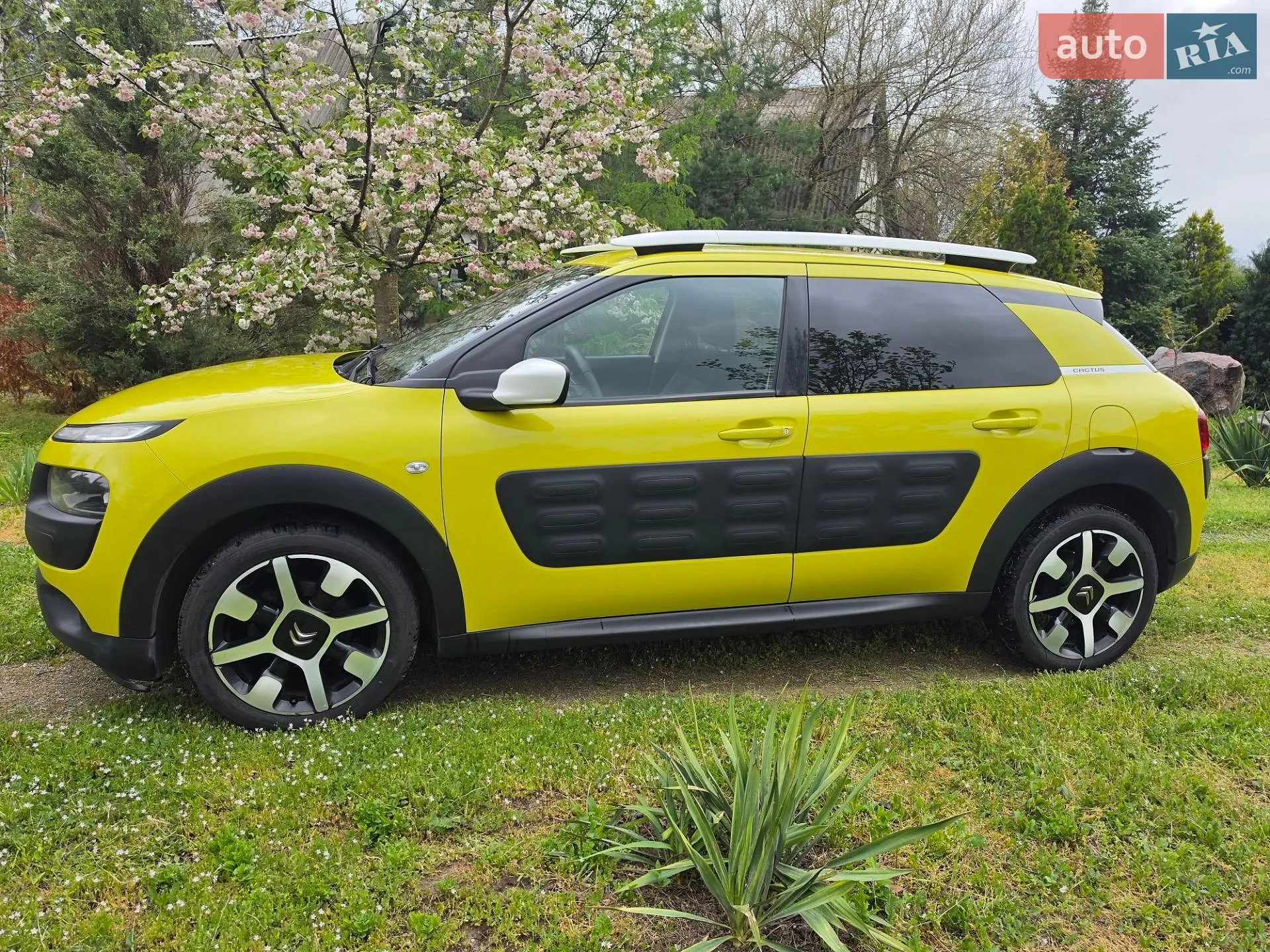 2016 Citroen C4 Cactus - мініатюра 3