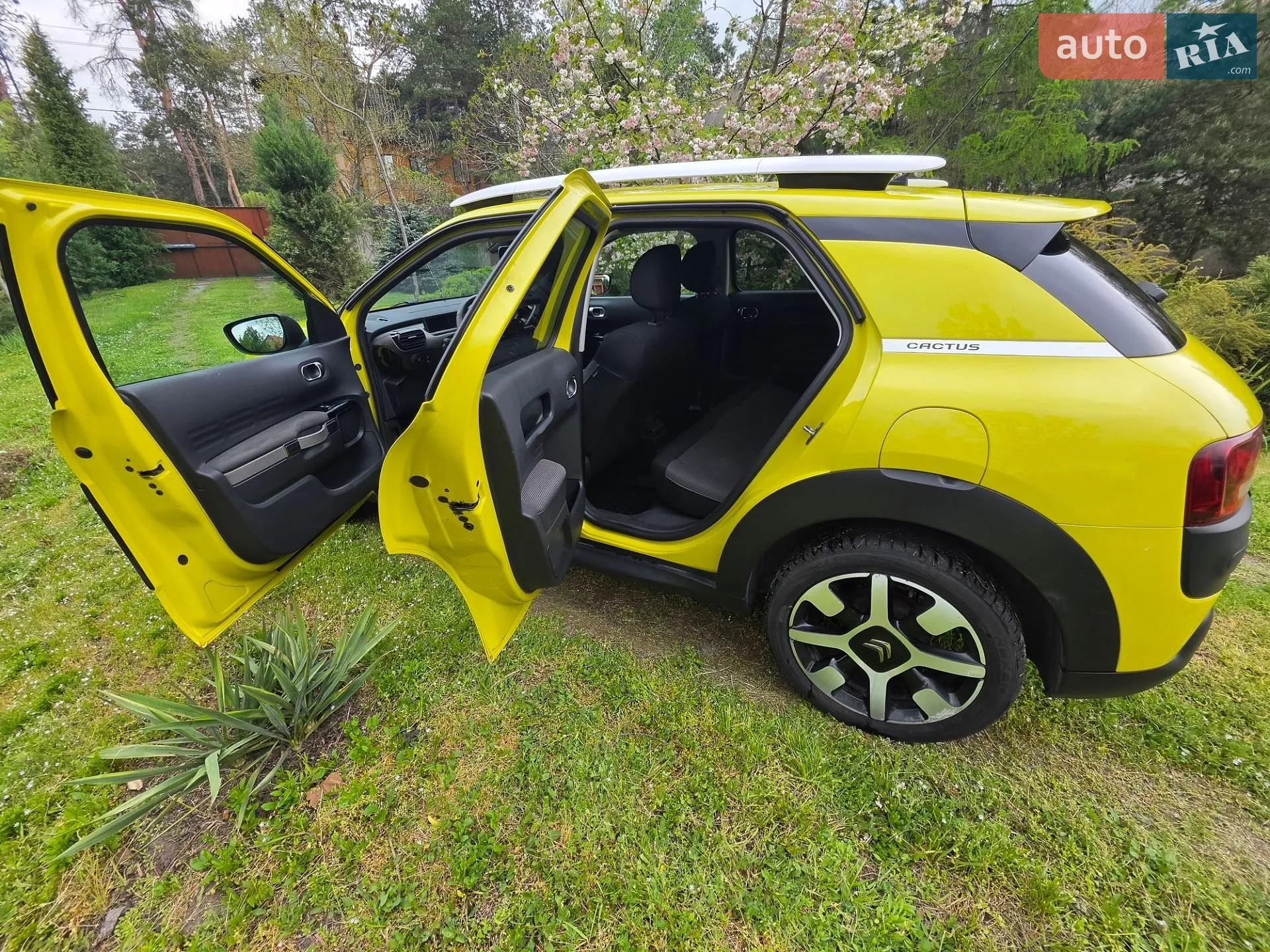 2016 Citroen C4 Cactus - мініатюра 5