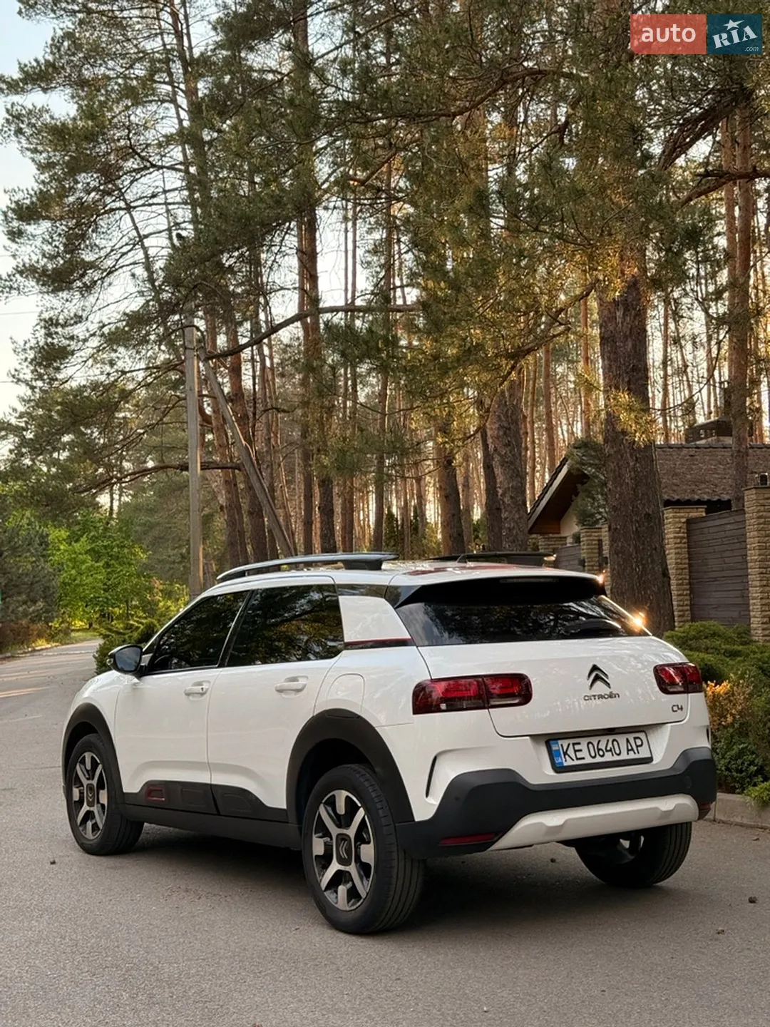 2019 Citroen C4 Cactus - мініатюра 2