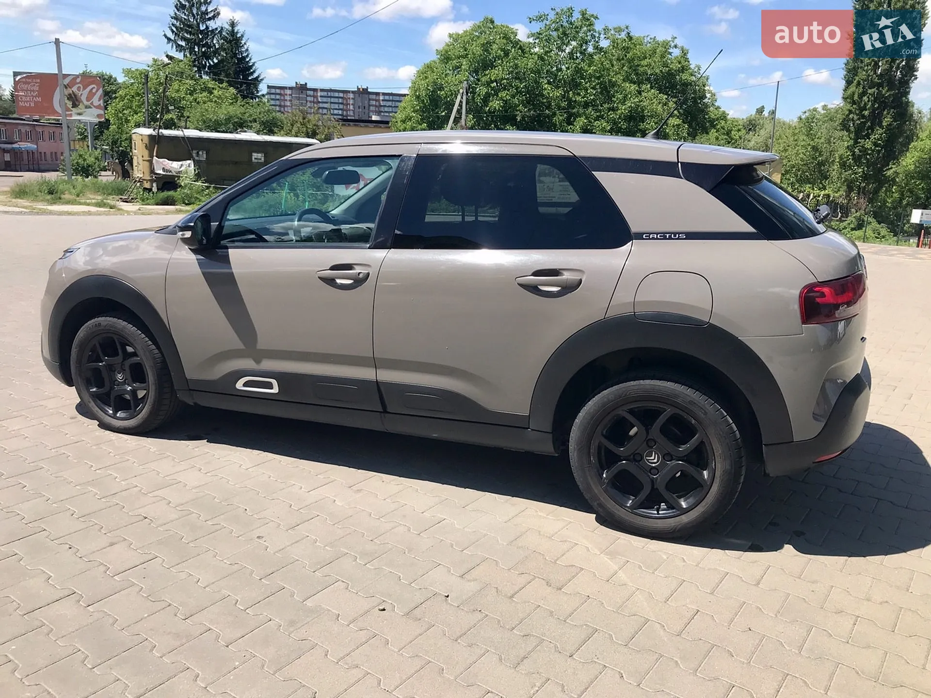 2019 Citroen C4 Cactus - мініатюра 14