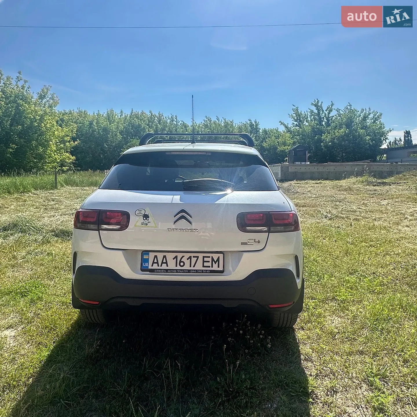2019 Citroen C4 Cactus - мініатюра 10