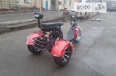 Трайк Citycoco Ride 2023 в 