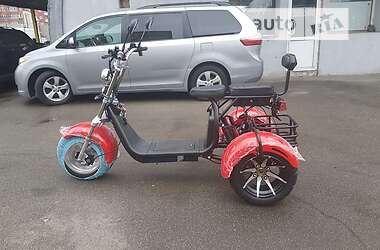 Трайк Citycoco Ride 2023 в 
