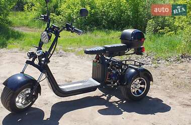 Трайк Citycoco Ride 2022 в Богуславе