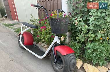 Мини спорт Citycoco Ride 2020 в 