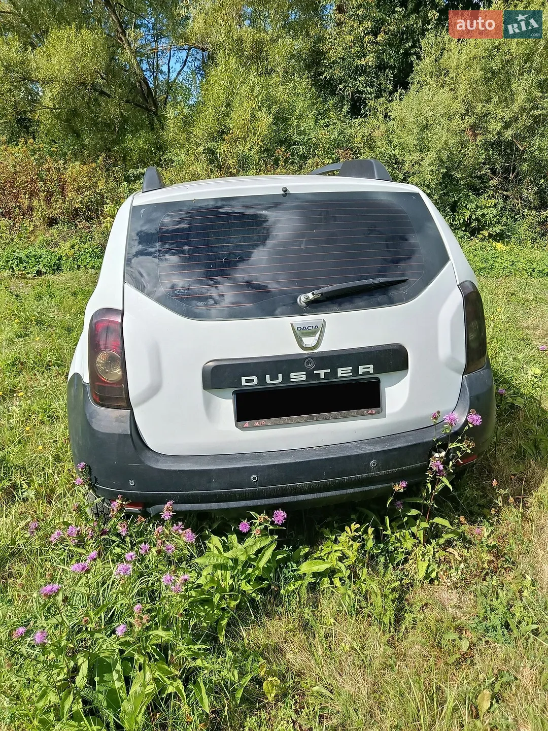 2010 Dacia Duster - мініатюра 2
