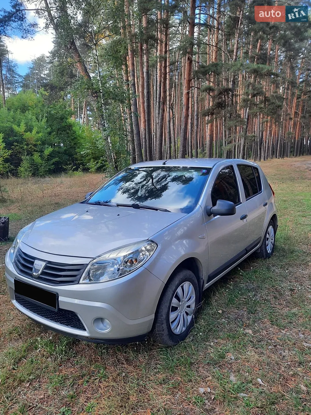 2010 Dacia Sandero - мініатюра 5