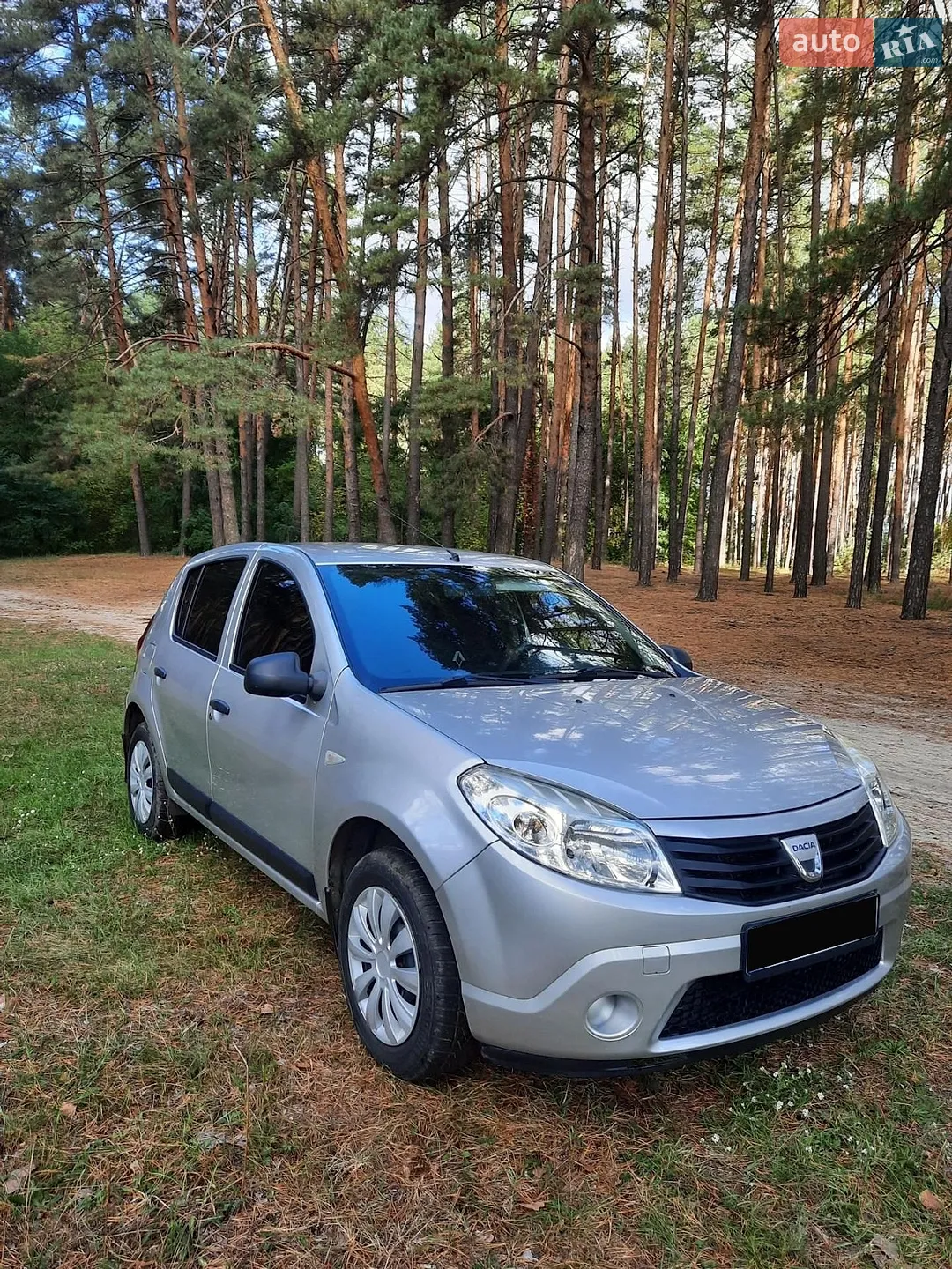 2010 Dacia Sandero - мініатюра 13