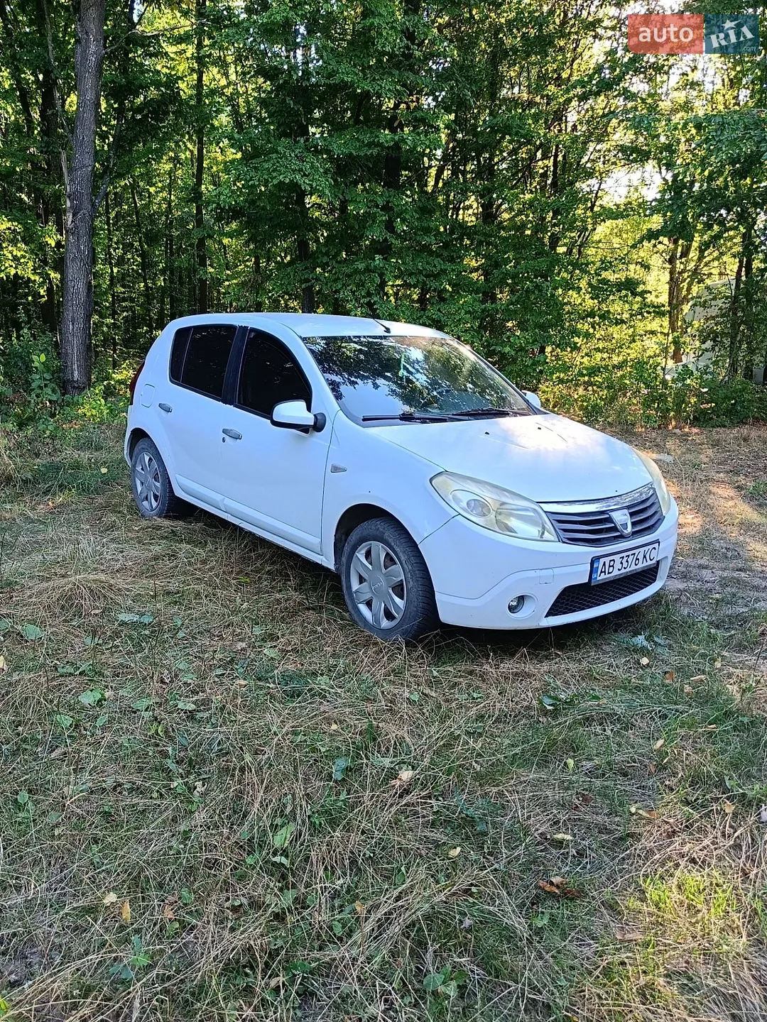 2010 Dacia Sandero - мініатюра 3