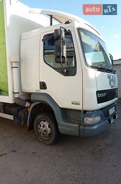 Грузовой фургон DAF LF 2007 в Кременчуге