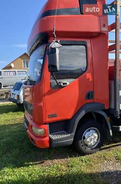 Тентованый DAF LF 2004 в Хусте