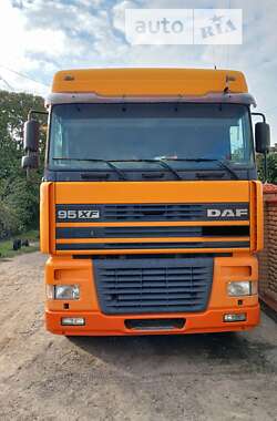 Контейнеровоз DAF XF 95 2002 в Вознесенську