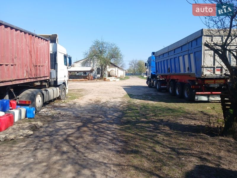 Тягач DAF XF 95 2005 в Золотоноше