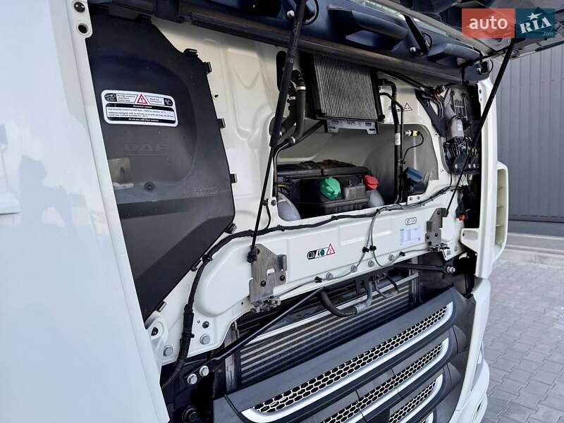 Тягач DAF XF 2019 в Дубно фото 33 Тягач DAF XF 2019 в Дубно