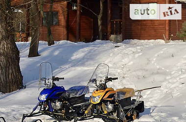 Снегоходы для охоты и рыбалки Dingo T150 2020 в Царичанке