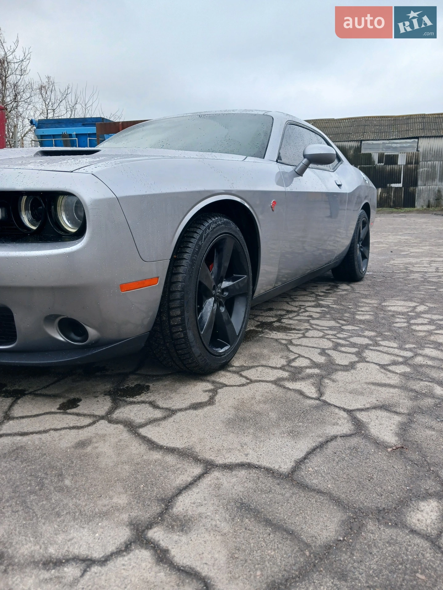 2016 Dodge Challenger - мініатюра 10