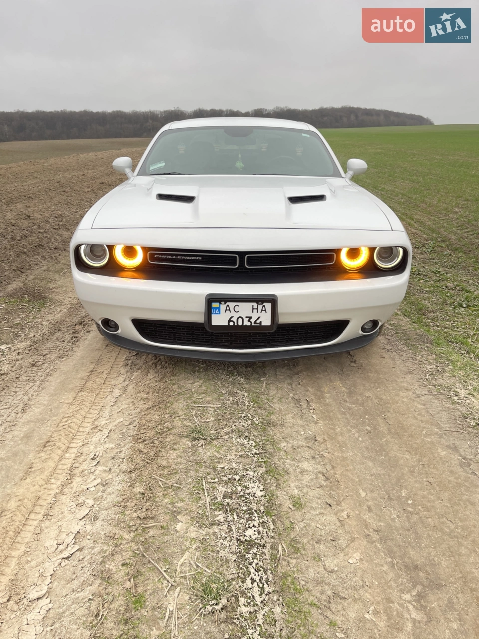 2015 Dodge Challenger - мініатюра 24