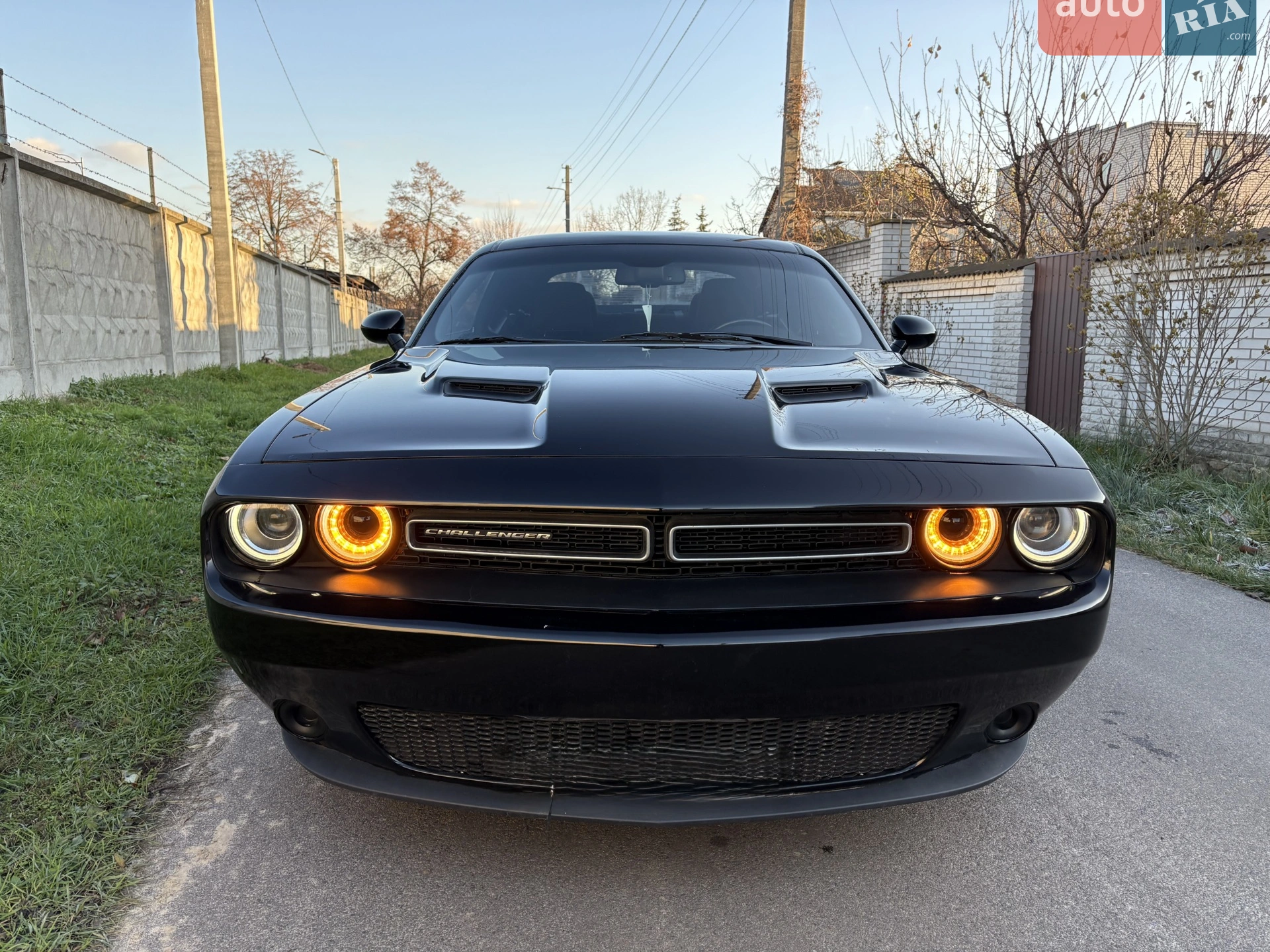 2017 Dodge Challenger - мініатюра 4