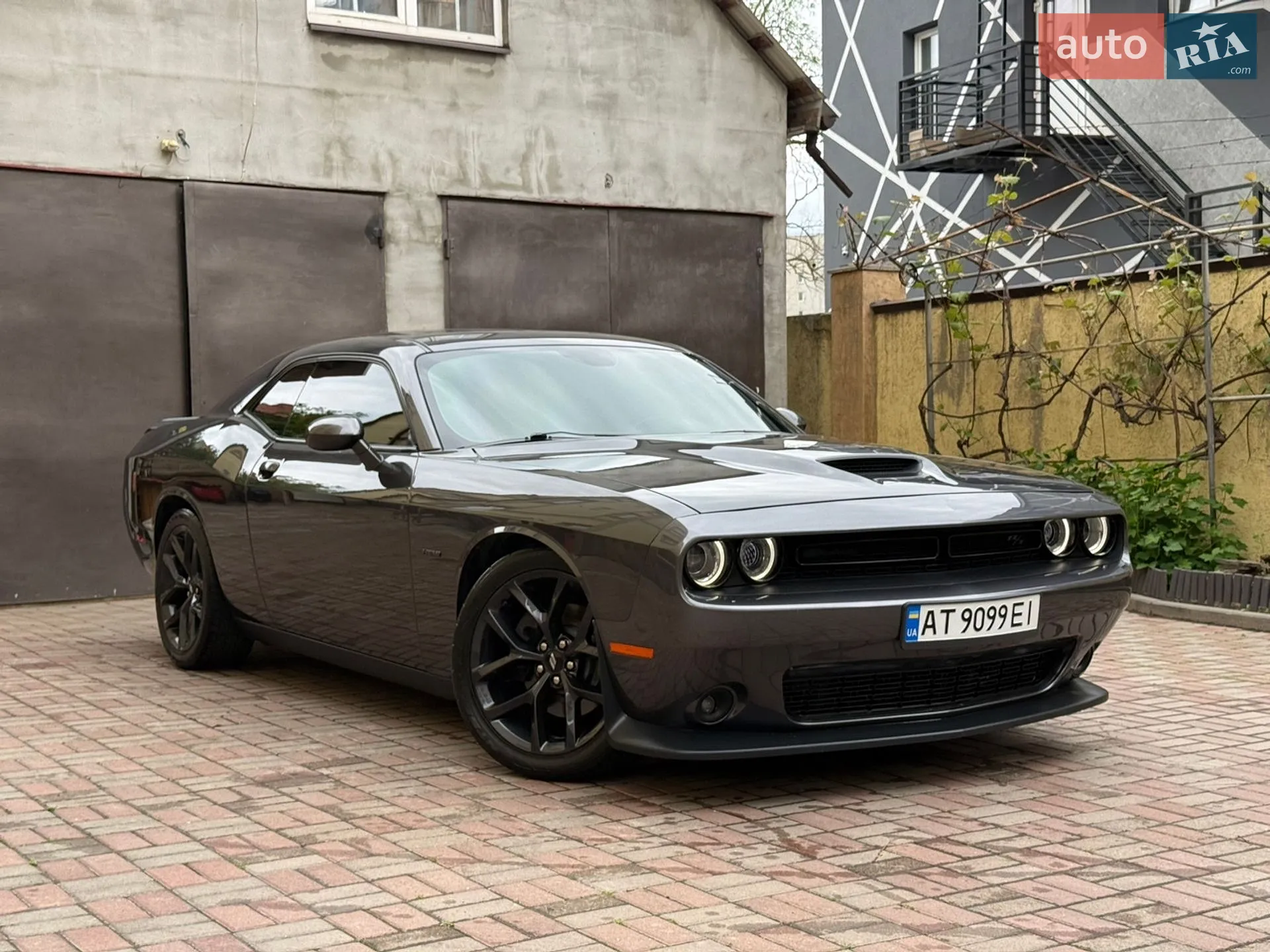 2019 Dodge Challenger - фото 1