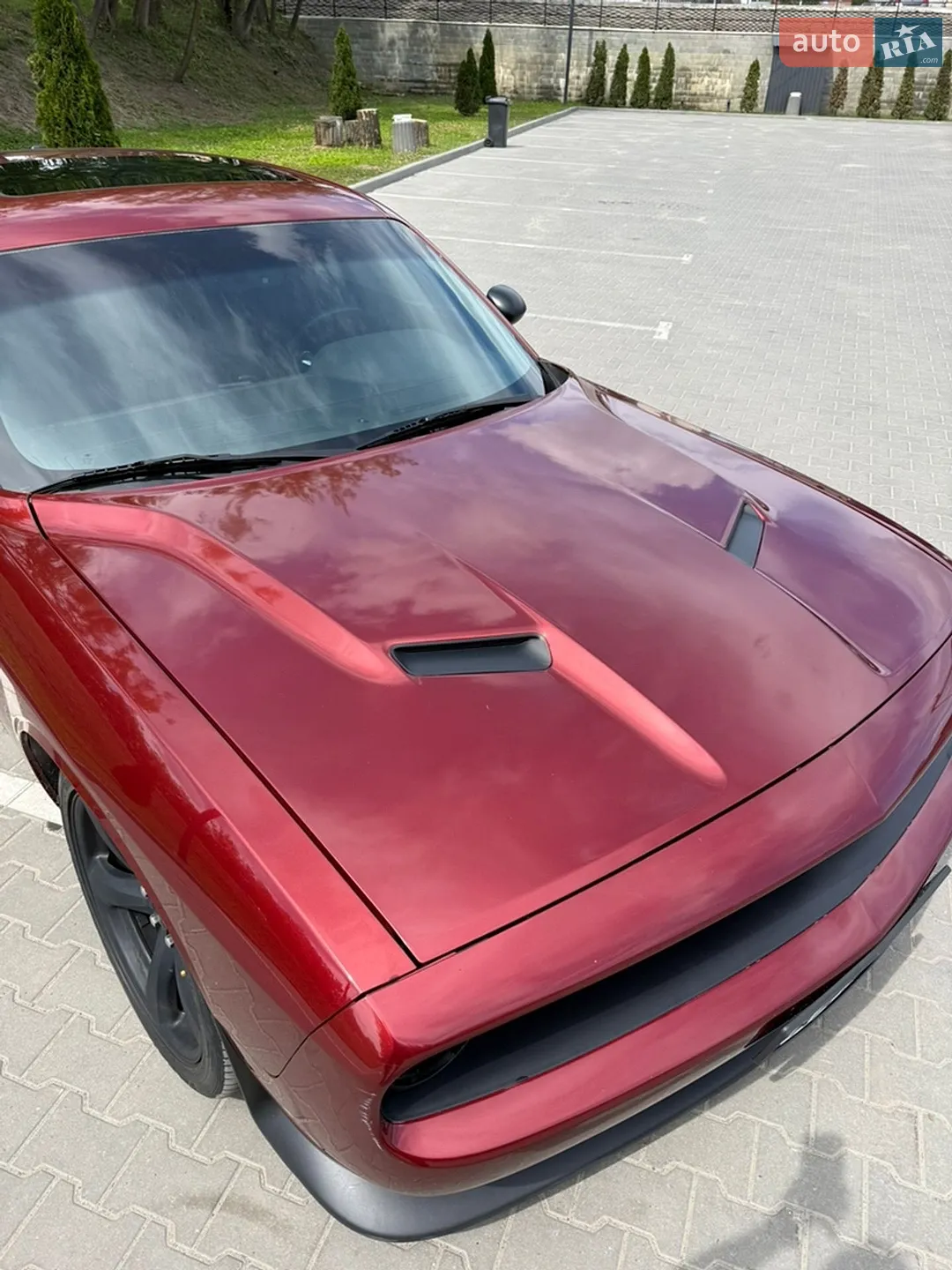 2014 Dodge Challenger - мініатюра 2