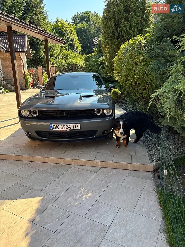 2018 Dodge Challenger - мініатюра 14