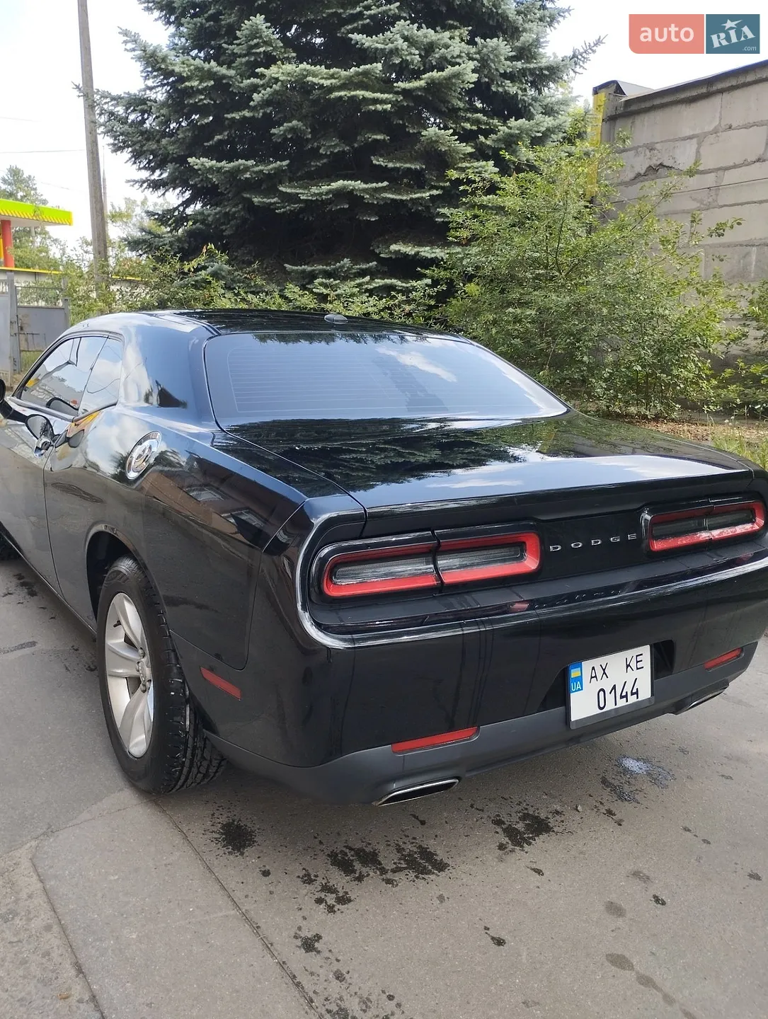 2017 Dodge Challenger - мініатюра 2