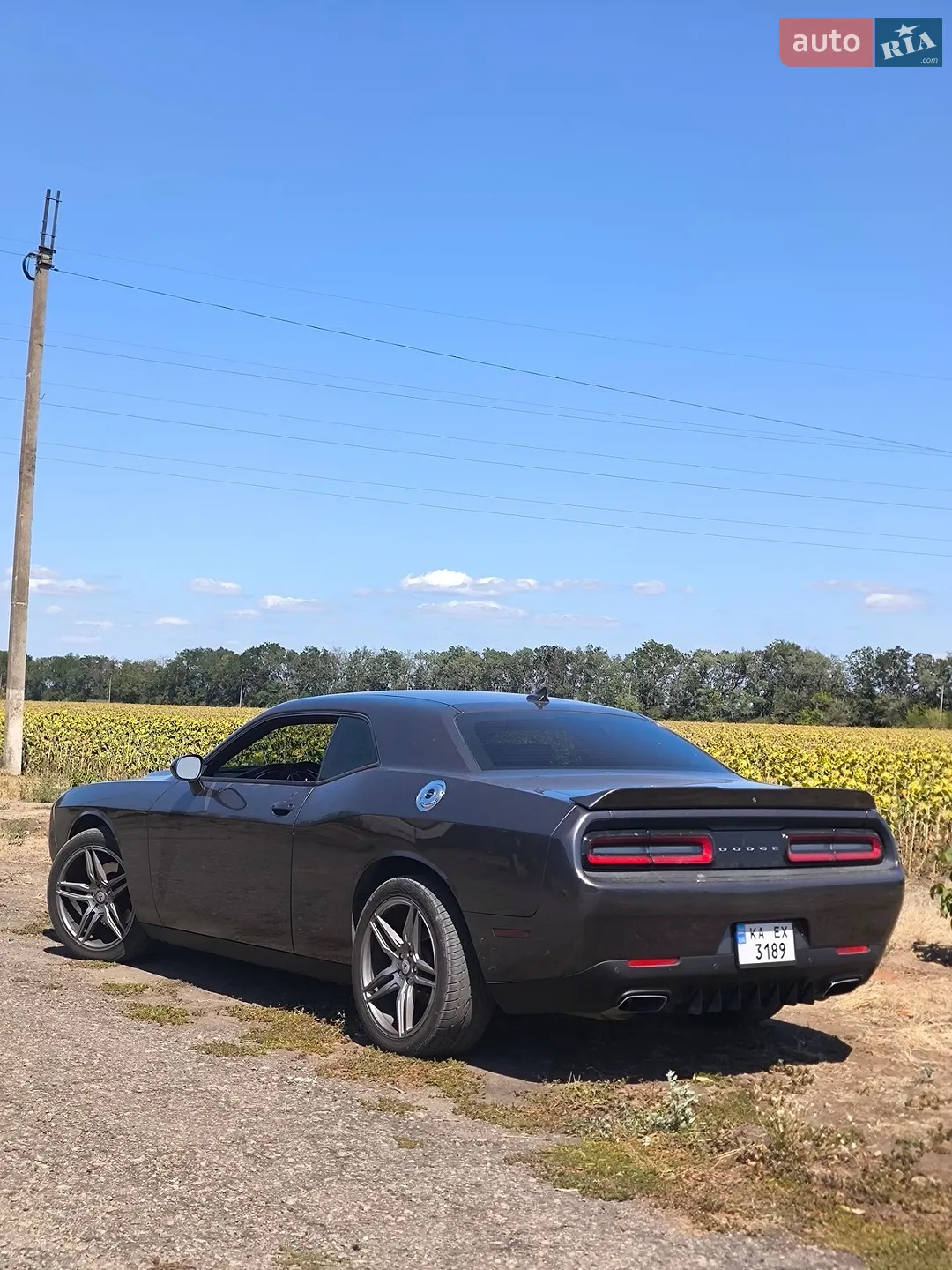 2015 Dodge Challenger - мініатюра 7