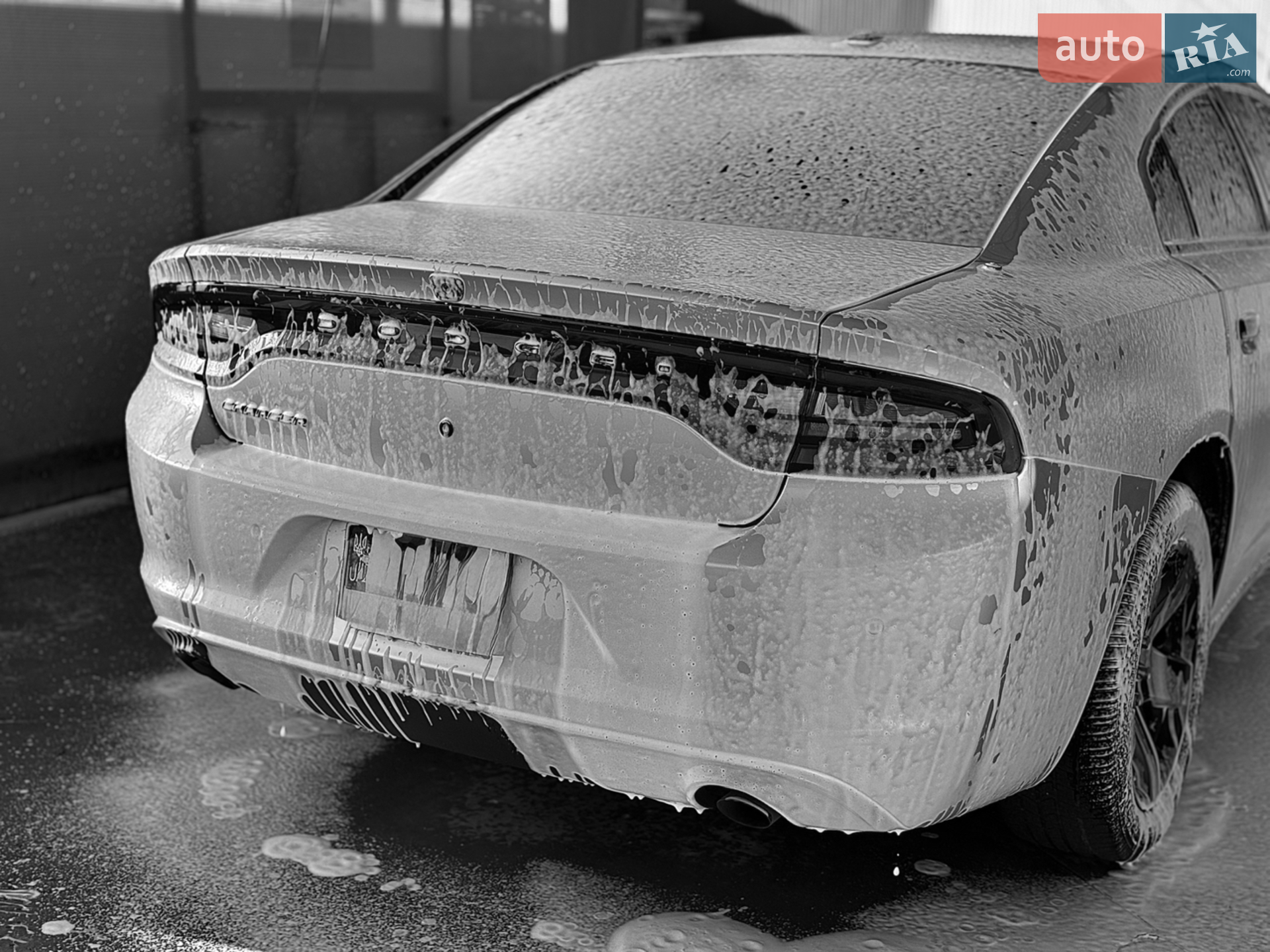 2019 Dodge Charger - мініатюра 9