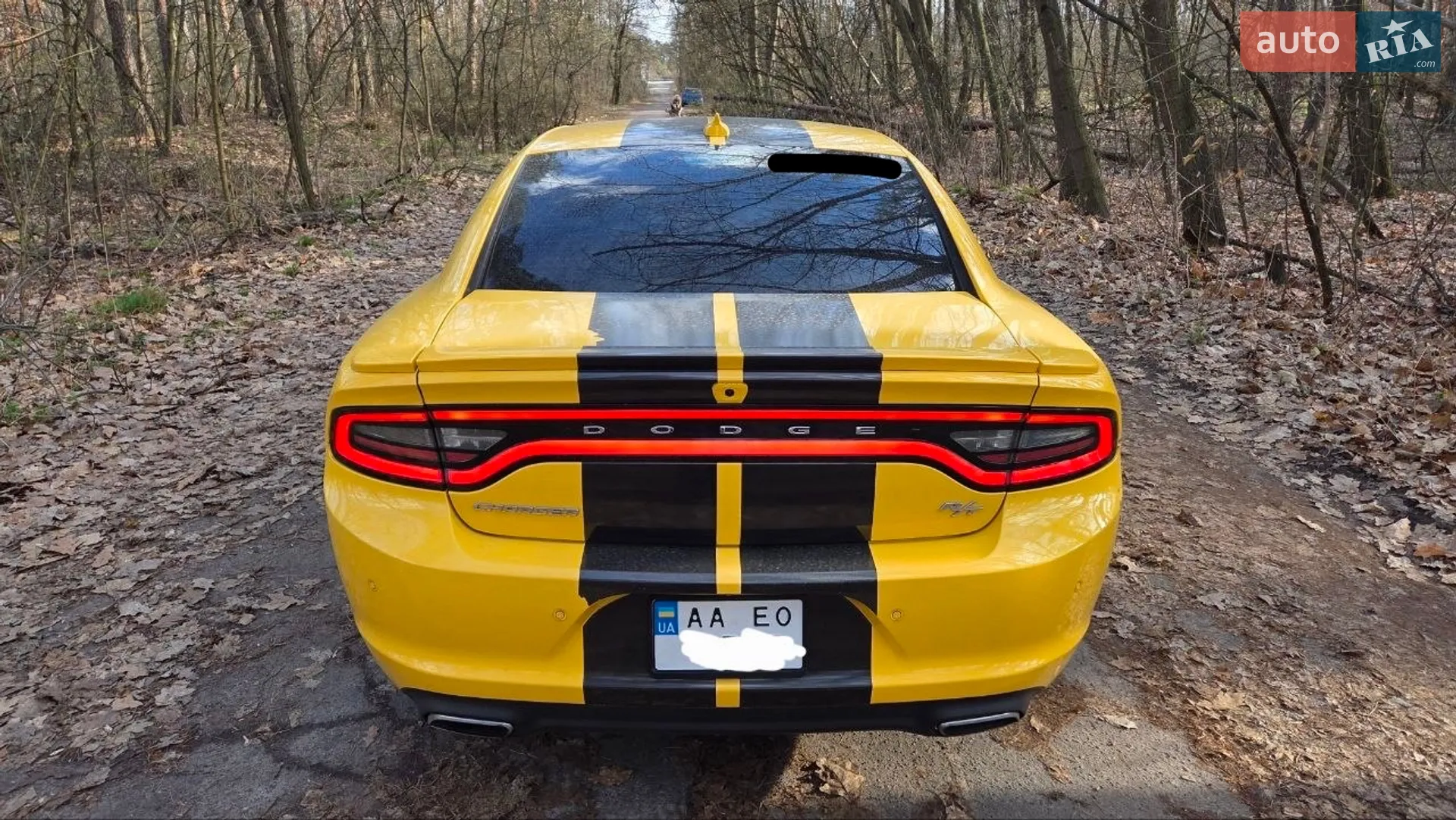 2017 Dodge Charger - мініатюра 8