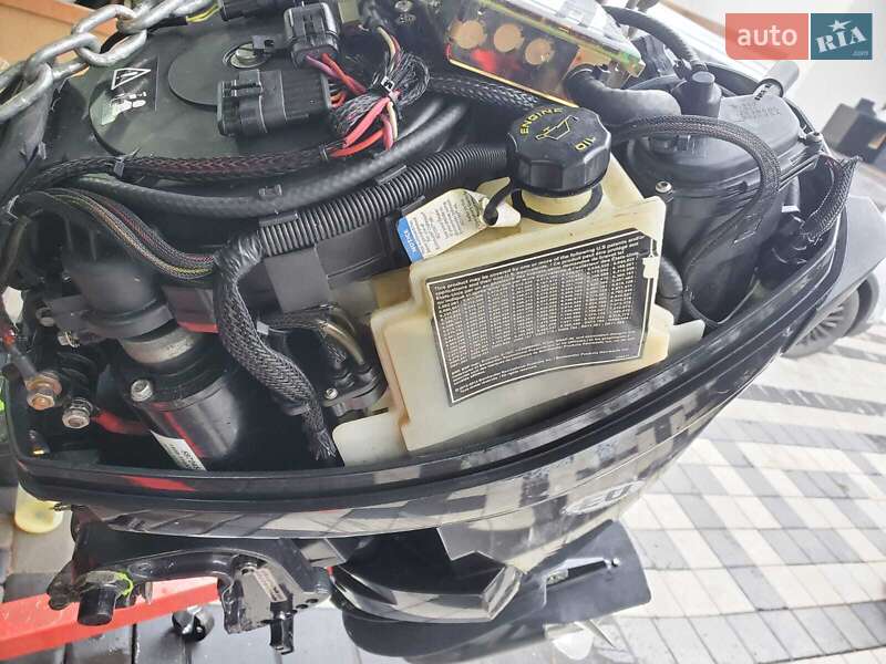 Другой водный транспорт Evinrude 30 hp 2011 в Макарове