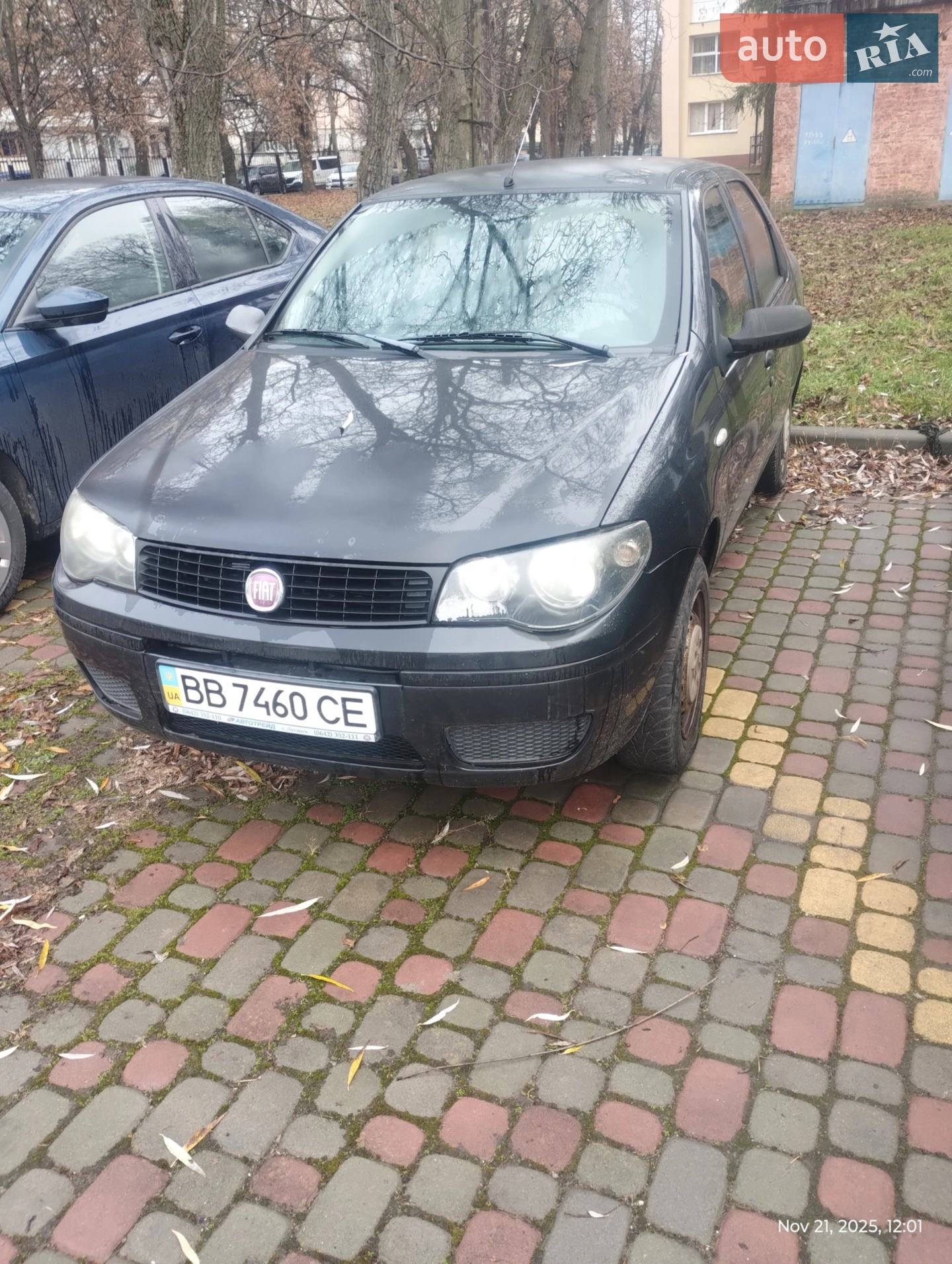 2011 Fiat Albea - мініатюра 2