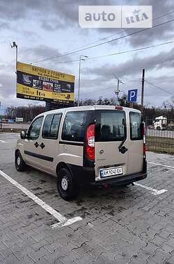 Мінівен Fiat Doblo 2013 в Житомирі