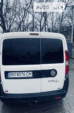 Минивэн Fiat Doblo 2010 в Ивано-Франковске