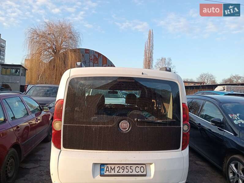 Минивэн Fiat Doblo 2010 в Житомире