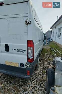 Грузовой фургон Fiat Ducato 2008 в Тячеве