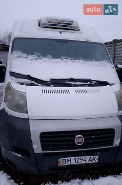 Рефрижератор Fiat Ducato 2008 в Конотопе