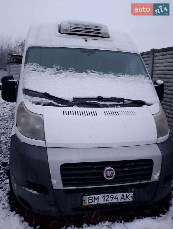 Рефрижератор Fiat Ducato 2008 в Конотопі