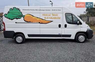 Рефрижератор Fiat Ducato 2013 в 